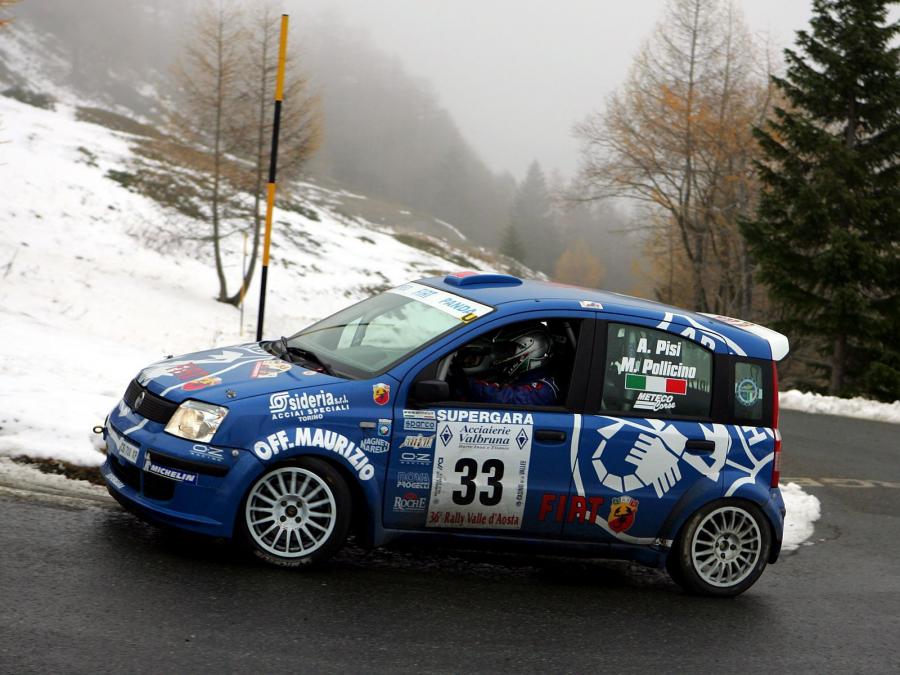  Fiat Panda Rally (SE104) 2004 года  (фото 2 из 3)